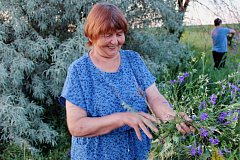 В Новой Красавке колоритно и весело отметили праздник Ивана Купалы