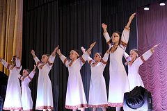 В Лысых Горах прошёл праздничный концерт, посвящённый Дню народного единства