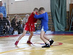 Сегодня соревновались самые юные самбисты Лысогорского района