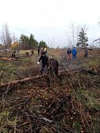 В Лысогорском районе прошла добровольческая акция по заготовке дров для наших бойцов
