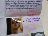 Замкомандира полка носил целый год в кармане письмо от ученицы из Лысых Гор, пока не пришло второе послание