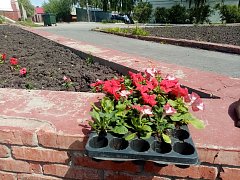 В Лысых Горах начаты работы  по созданию цветочных клумб