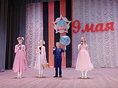 В Лысых Горах проходят мероприятия, посвященные Дню Победы
