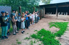 Лето в Новой Красавке: чем закончилась июньская смена в школьном лагере