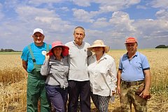 Из кабины комбайна: как в Невежкино проходит уборочная кампания