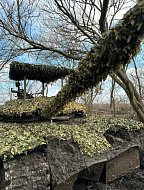 За каждым "Лешим" и "невидимкой" – доброе сердце волонтёра