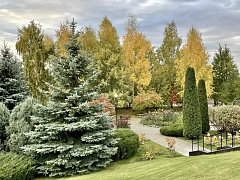 ОСЕНЬ ВО ВСЕЙ КРАСЕ…