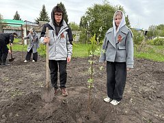 Активисты «Движения Первых» высадили в школьном саду яблони