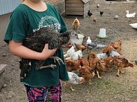 Сельские будни в Юнгеровке