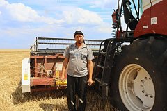 Из кабины комбайна: как в Невежкино проходит уборочная кампания