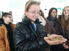 Ученики Лысогорской школы №1 подержали на руках геккона и познакомились с растениями-хищниками