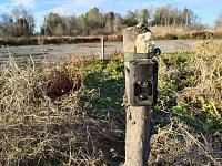 У лысогорских экоактивистов пропали фотоловушки