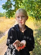 Школьники Лысогорского района помогли лесхозу: собрали жёлуди для питомника