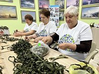 В Лысогорском районе волонтеры делают «пучки» для маскировочных сетей