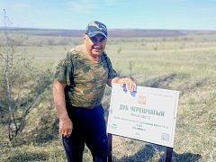 Вблизи села Широкий Карамыш возле дуба-старожила «Василич» появилась табличка с QR-кодом на его описание
