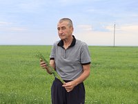 Как цветет лен, или Советы по видеокадрам от главы КФХ Александра Жарикова из Невежкино