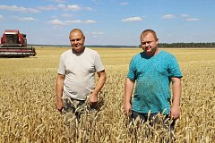 Золотая страда в КФХ Сергея Федосеева из поселка Яблочный