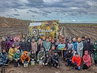 В Лысогорском районе прошла масштабная акция по восстановлению лесного массива