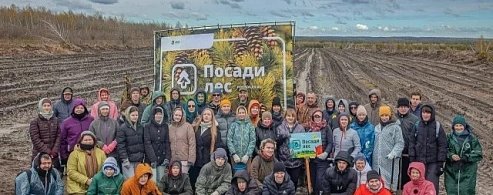 В Лысогорском районе прошла масштабная акция по восстановлению лесного массива