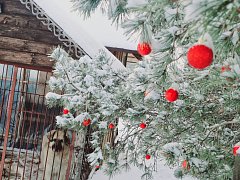 Лысогорский район сияет гирляндами