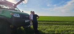 В КФХ Пасечных убрали с полей озимую пшеницу и чечевицу