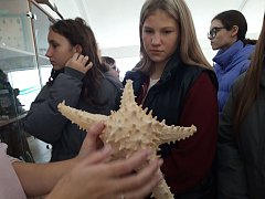 Ученики Лысогорской школы №1 подержали на руках геккона и познакомились с растениями-хищниками