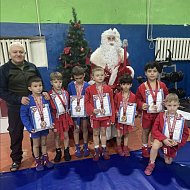 Юные самбисты снова привезли домой награды