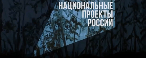 Лесные пожары легче предотвратить, чем потушить