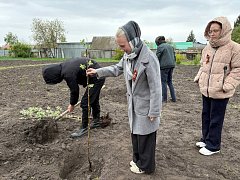 Активисты «Движения Первых» высадили в школьном саду яблони
