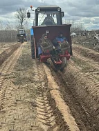 Директор лесхоза Ольга Фимушкина сообщила о старте весенней кампании по искусственному лесовосстановлению в Лысогорском районе.