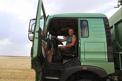 Из кабины комбайна: как в Невежкино проходит уборочная кампания