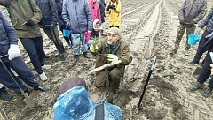 В Лысогорском районе прошла масштабная акция по восстановлению лесного массива