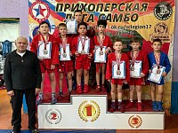 Лысогорские самбисты приняли участие в межклубных соревнованиях, приуроченных ко Дню самбо в Балашове