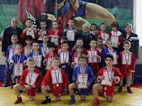 Сегодня соревновались самые юные самбисты Лысогорского района