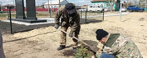 В Больших Копенах высадили 50 штук саженцев сосны и елей