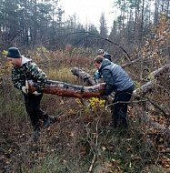 В Лысогорском районе прошла добровольческая акция по заготовке дров для наших бойцов