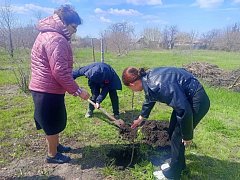 Лысогорские школьники присоединились к акции «Сад памяти»